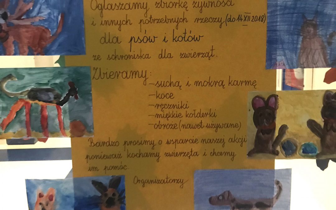 Zbiórka karmy dla zwierzaków