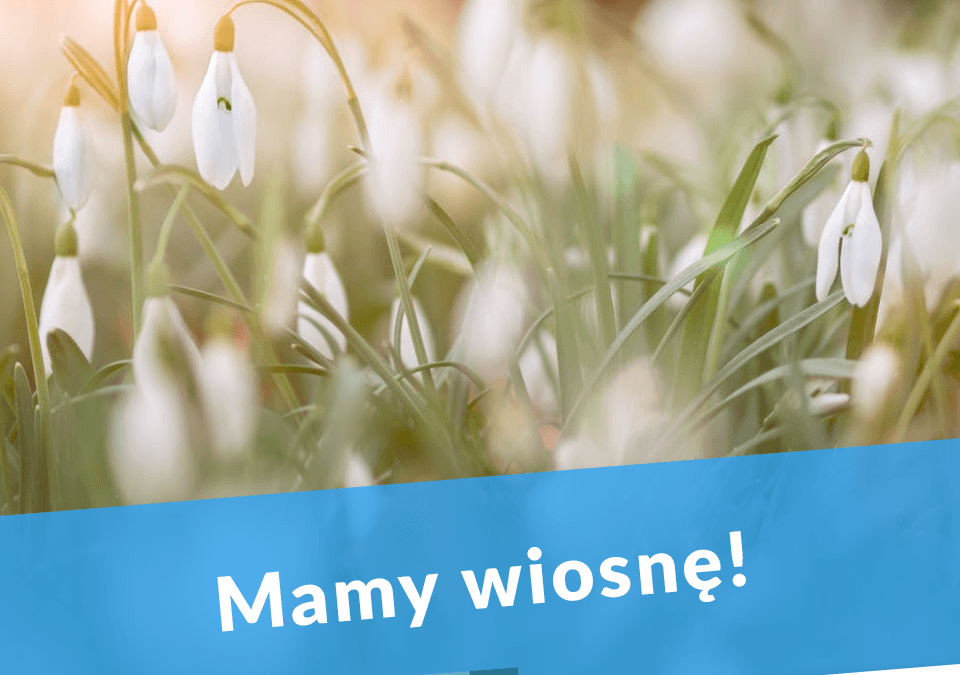Mamy wiosnę!