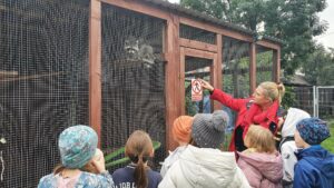 Wykład - zagrożenia miejskich zwierząt