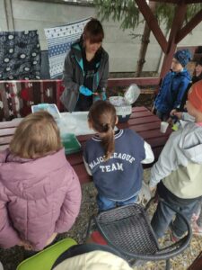 Opieka nad osieroconym jeżem