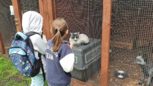 Zwierzęta potrzebujące pomocy