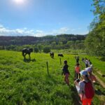 Uczniowie mijają czarne konie na łące podczas spaceru po górach.