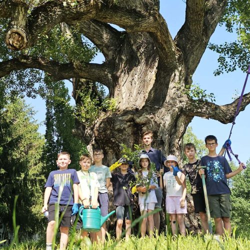 Magnolia na zakończenie wspólnej drogi – ostatnia wycieczka klasy 3a