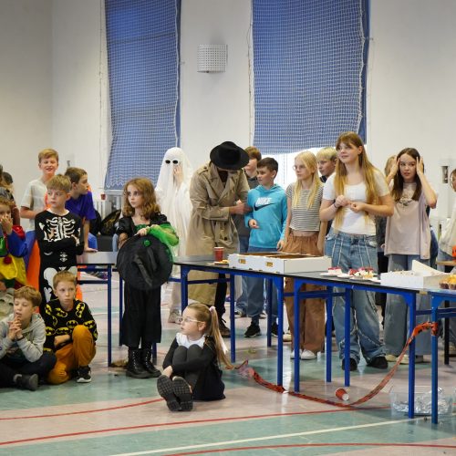 Dynia Party