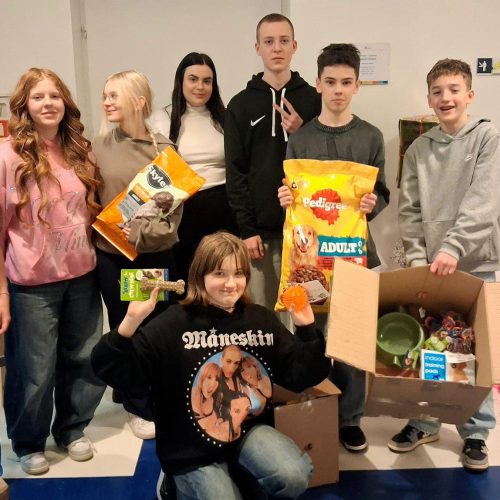 Zbiórka dla bezdomnych i potrzebujących zwierząt