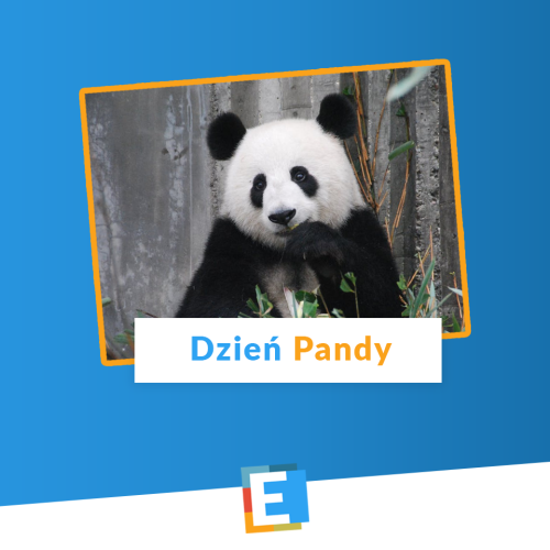 Dzień Pandy