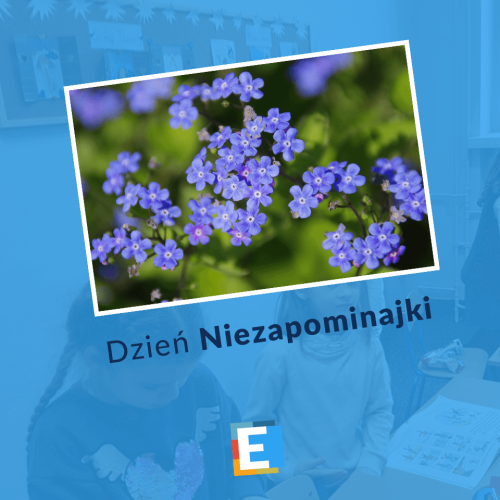 Dzień Niezapominajki