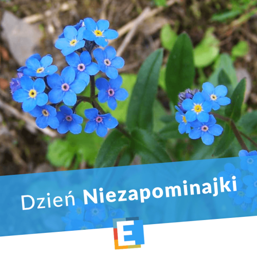 Nie zapomnijcie o nas!
